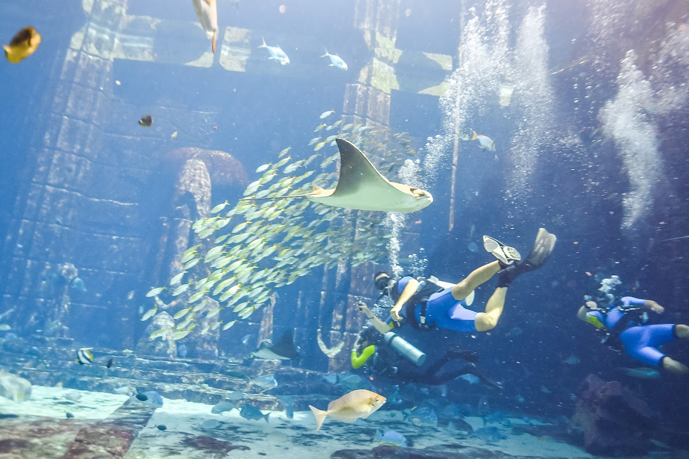 Seaworld Abu Dhabi Tickets