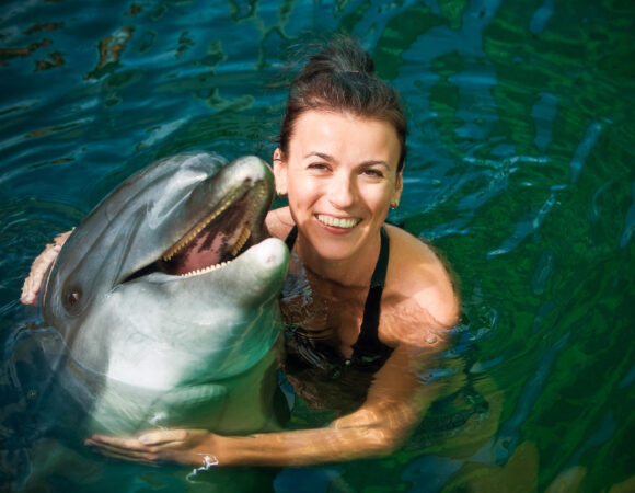 Swim with Dolphin in Dubai
